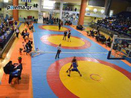 Πανελλήνιο Πρωτάθλημα ελληνορωμαϊκής πάλης Ανδρών του 2016